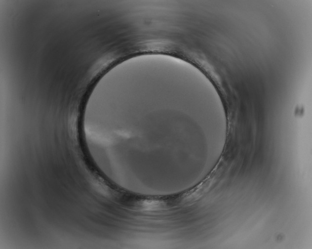 X0000102840154200809151112