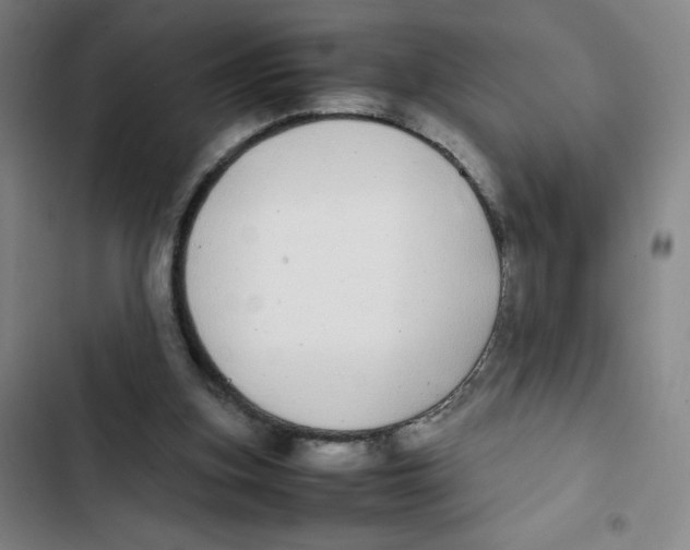 X0000102840155200809151112