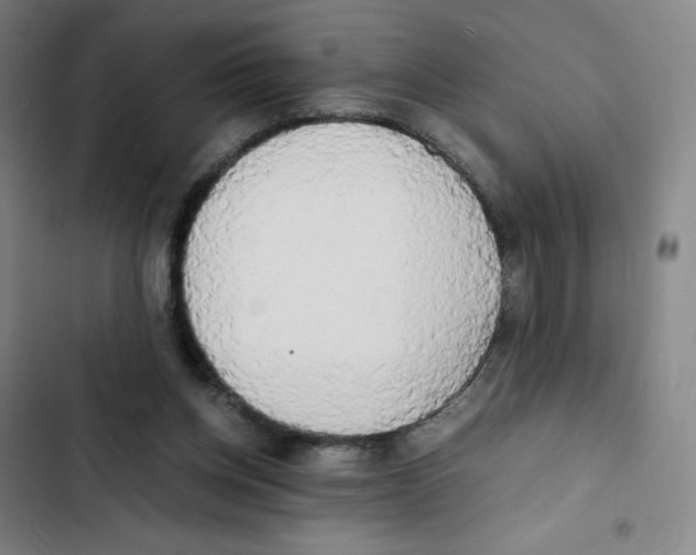 X0000102840158200809151112