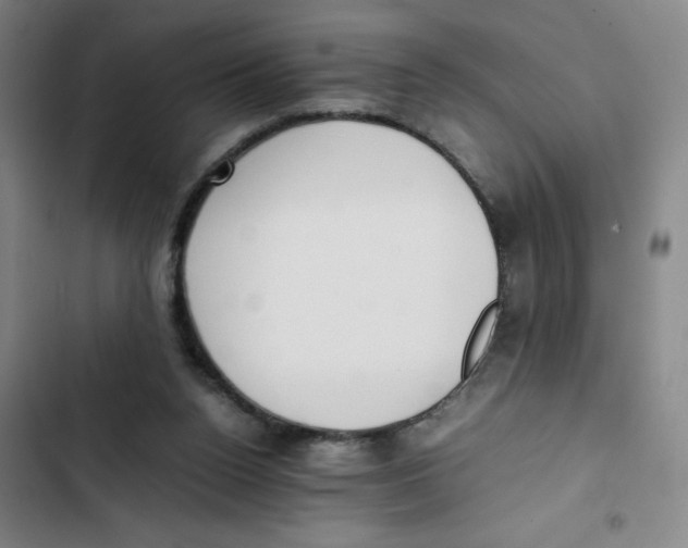 X0000102840160200809151112