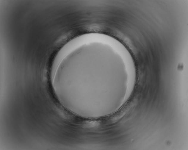 X0000102840161200809151112