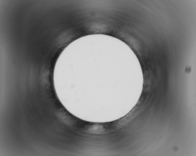 X0000102840162200809151112