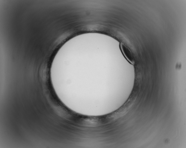 X0000102840164200809151112