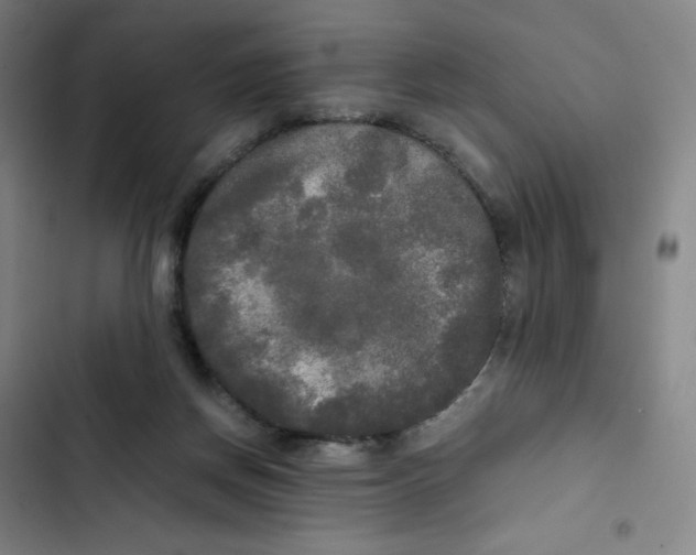 X0000102840166200809151112