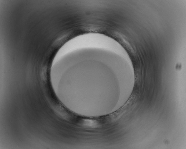 X0000102840167200809151112