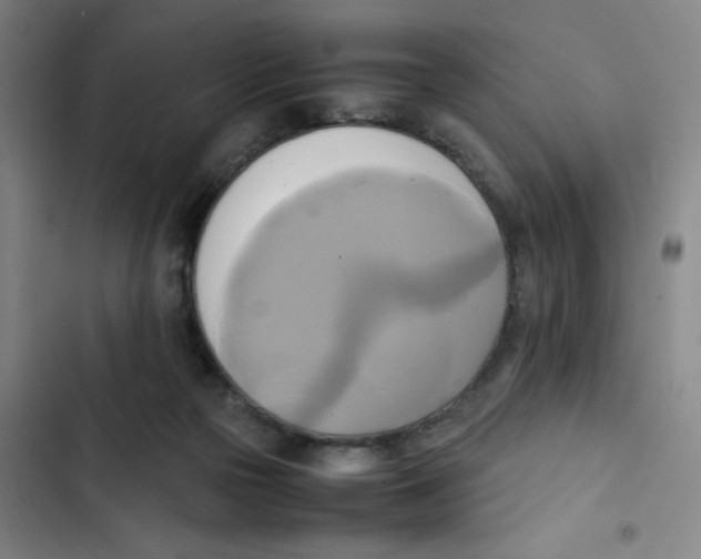 X0000102840169200809151112