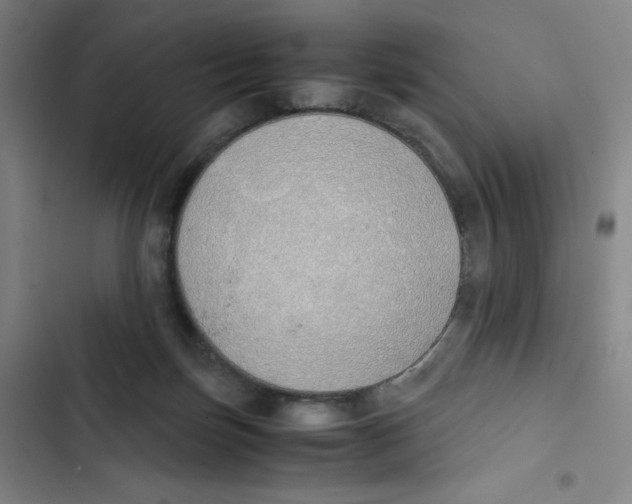 X0000102840171200809151112