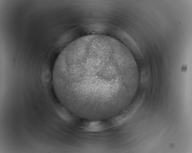 X0000102840173200809151112