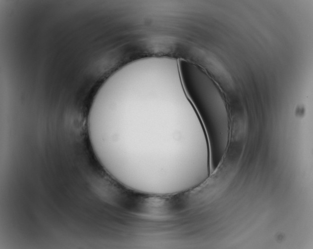 X0000102840176200809151113