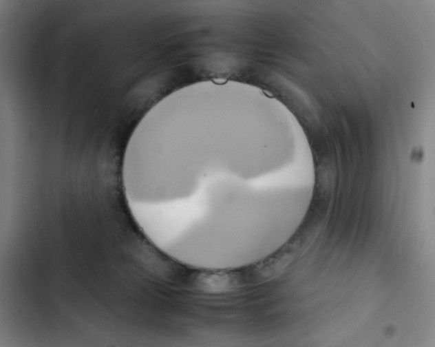 X0000102840181200809151113