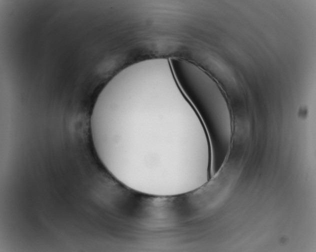 X0000102840184200809151113