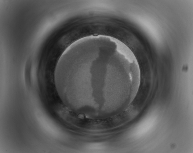 X0000102840189200809151113