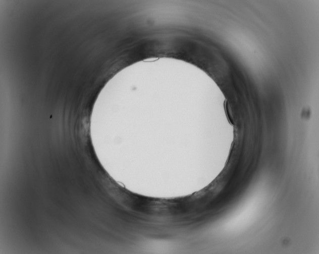 X0000102840190200809151113