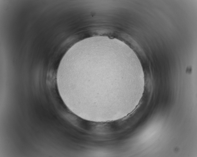 X0000102840191200809151113