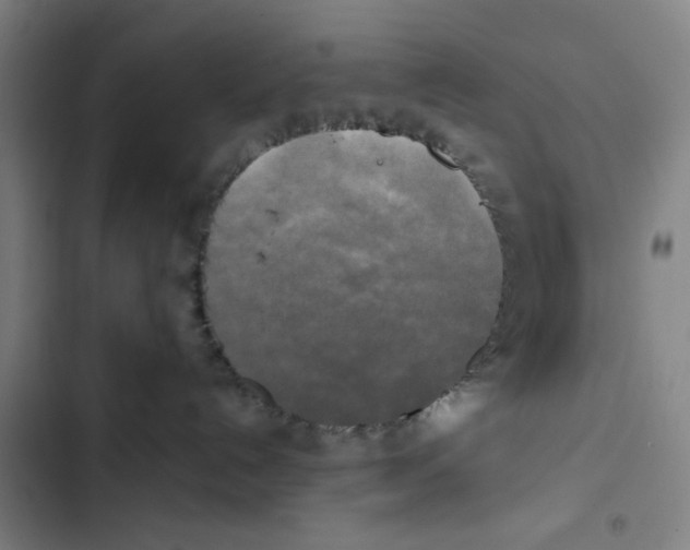 X0000102840192200809151113