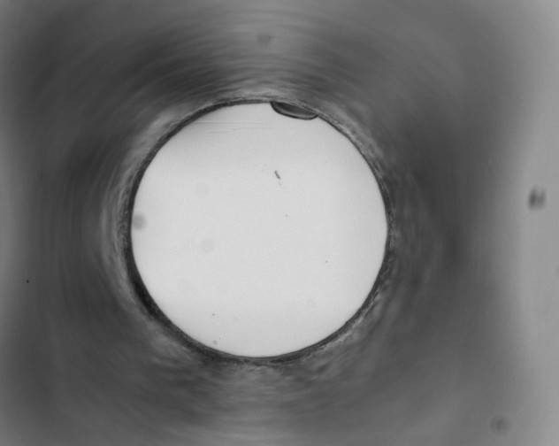 X0000102840193200809151112