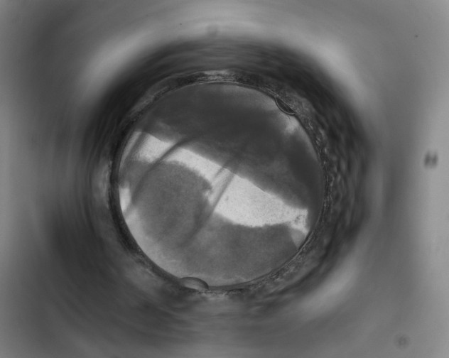 X0000102840194200809151112