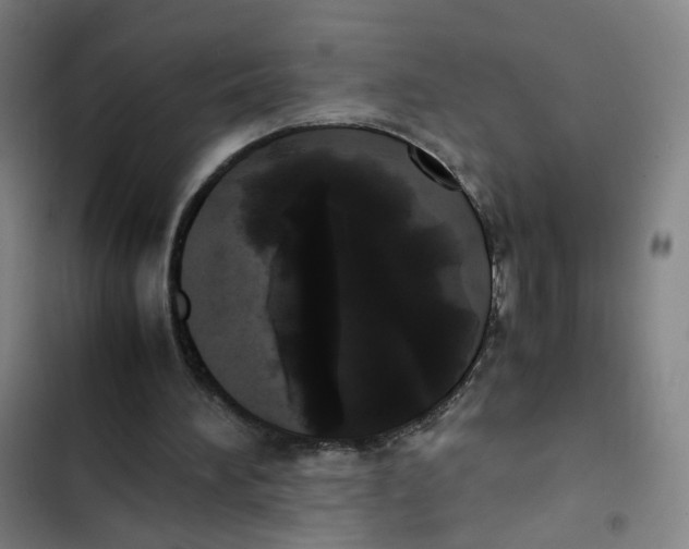 X0000102840196200809151112