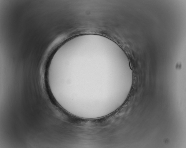 X0000102840197200809151112