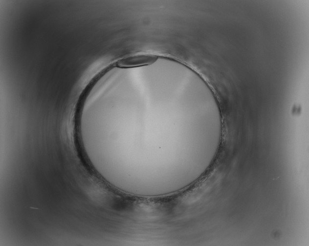 X0000102840199200809151112