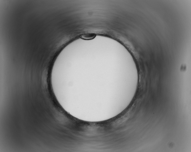 X0000102840201200809151112