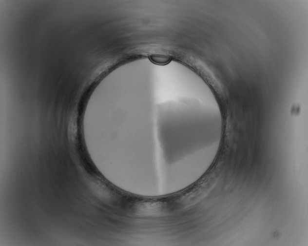 X0000102840202200809151112