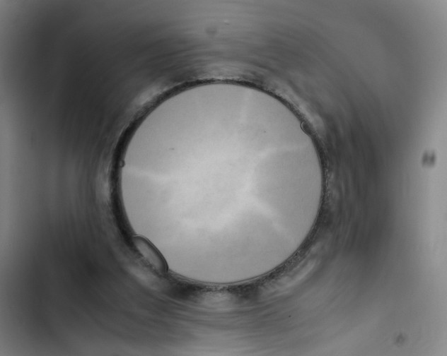 X0000102840203200809151112