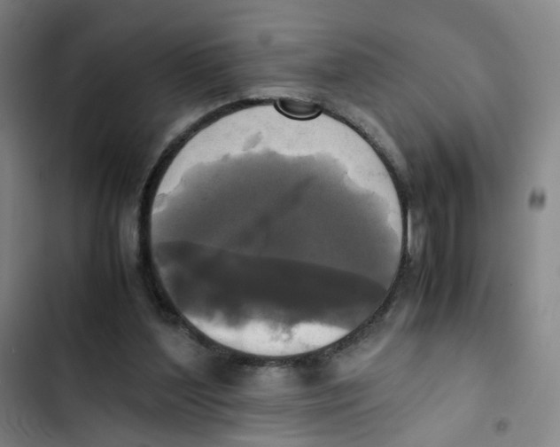 X0000102840204200809151112