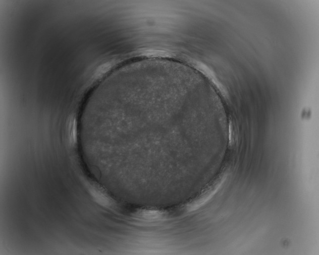 X0000102840205200809151112