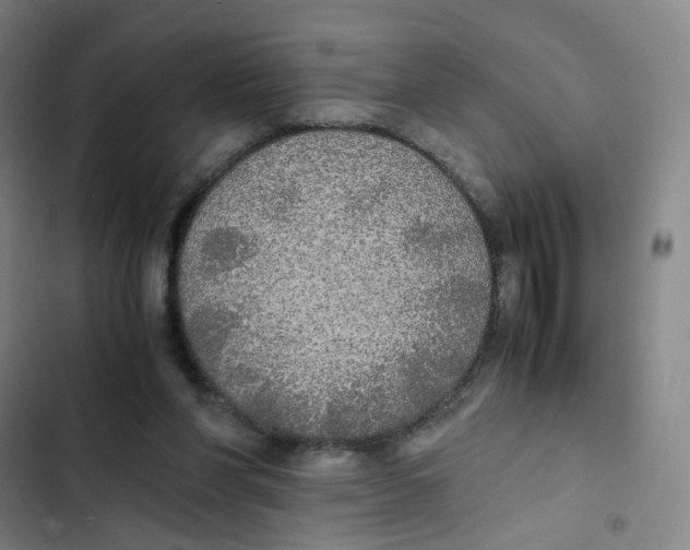 X0000102840206200809151112