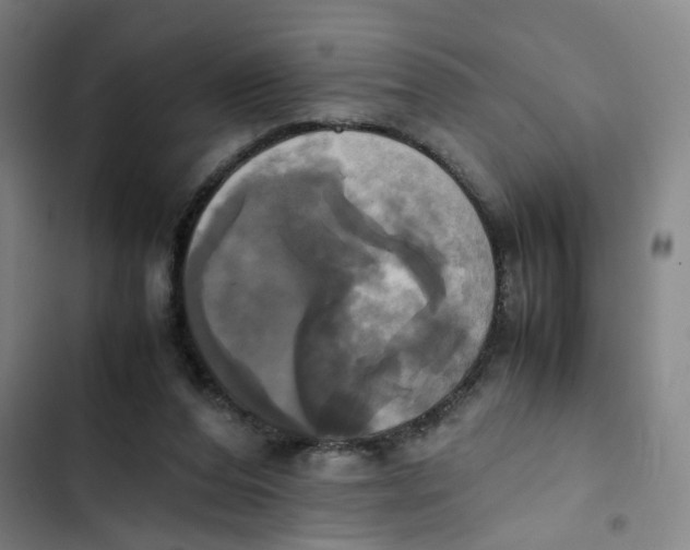 X0000102840208200809151112