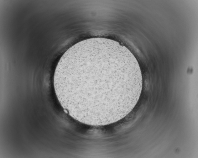 X0000102840211200809151112