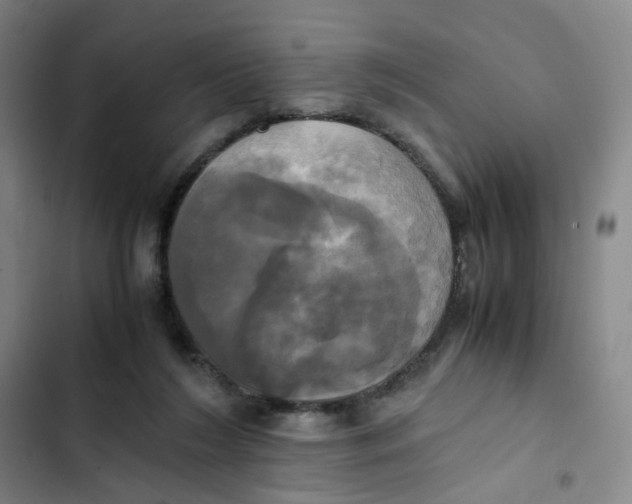 X0000102840212200809151112