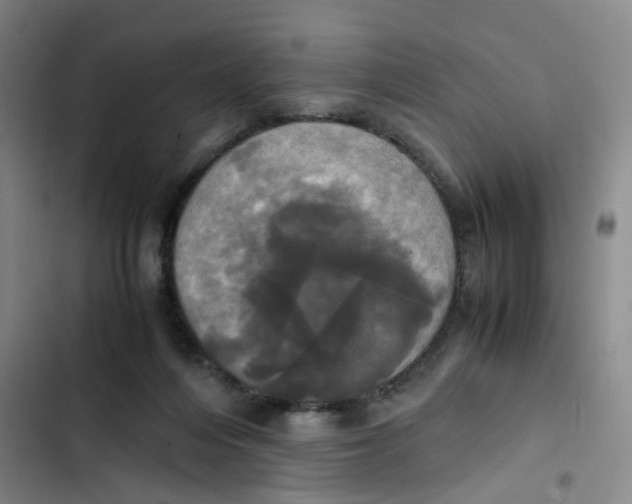 X0000102840216200809151112