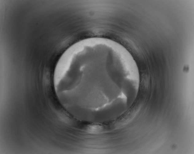 X0000102840220200809151112