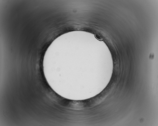 X0000102840221200809151112