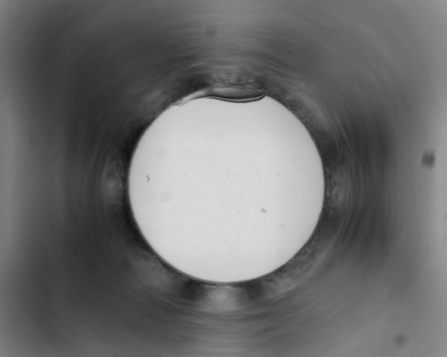 X0000102840226200809151111