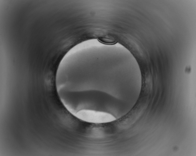 X0000102840228200809151111