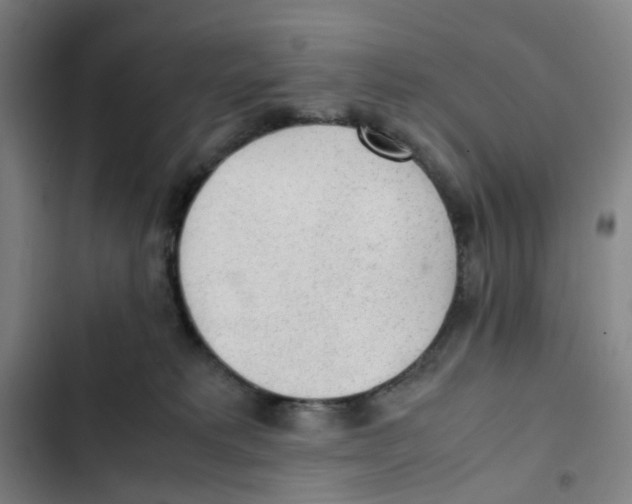 X0000102840229200809151111