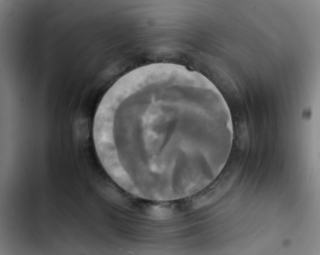 X0000102840232200809151111