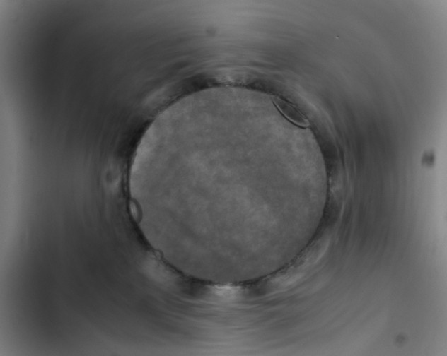 X0000102840233200809151111