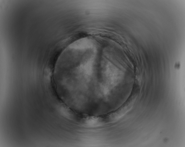 X0000102840235200809151111