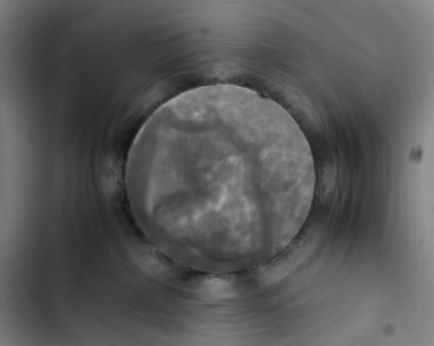 X0000102840236200809151111