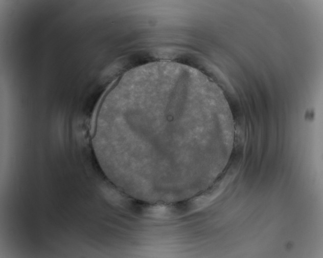 X0000102840237200809151111