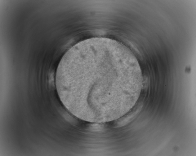 X0000102840238200809151111