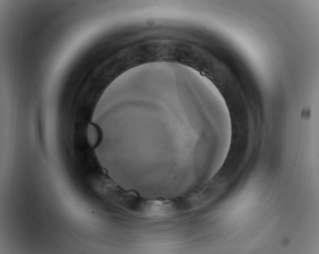 X0000102840239200809151111