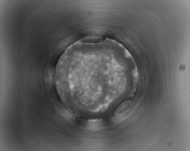 X0000102840240200809151111