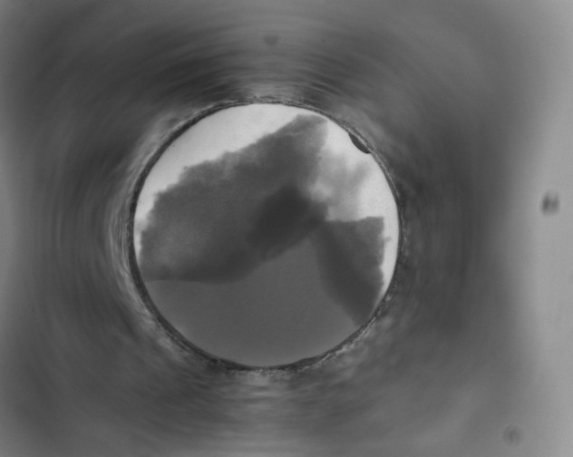 X0000102840241200809151110