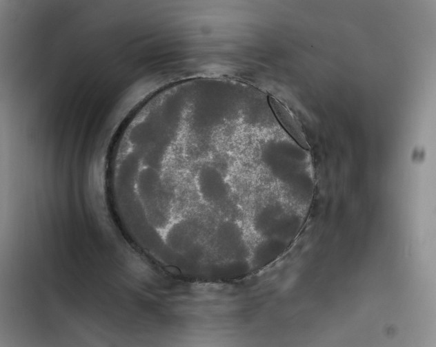 X0000102840242200809151110