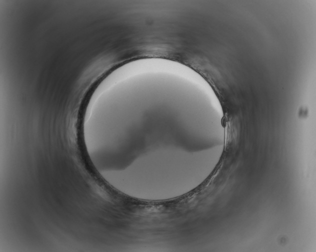 X0000102840243200809151110